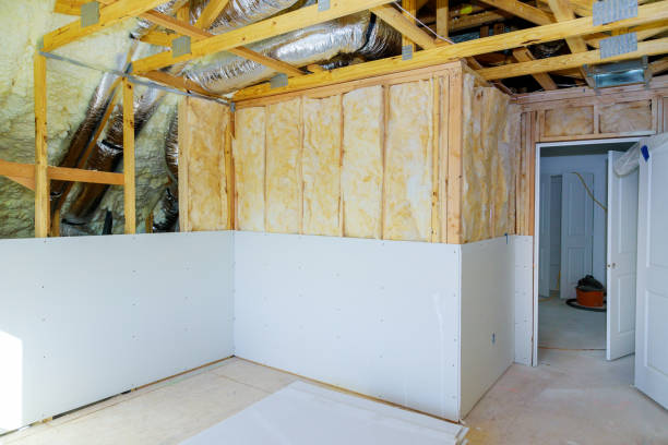 Best Insulation Installation Services in Combee Settlement, FL