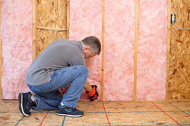Best Specialty Insulation in Combee Settlement, FL