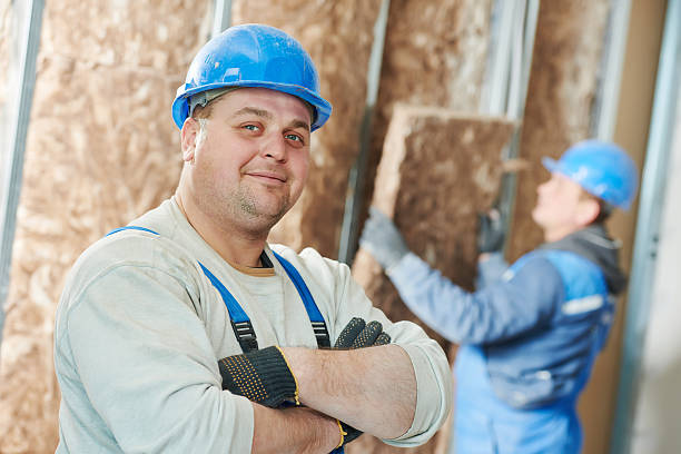 Best Energy Efficiency Solutions in Combee Settlement, FL
