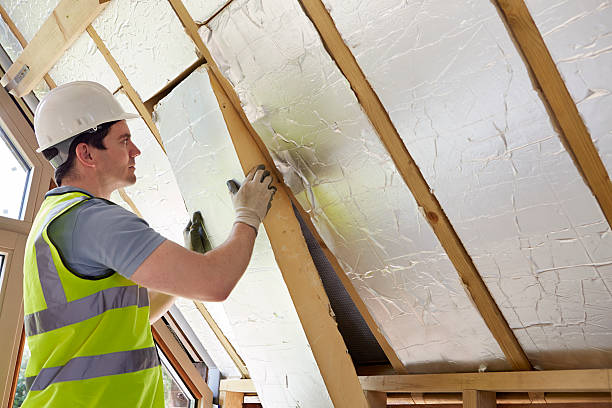 Best Specialty Insulation in Combee Settlement, FL